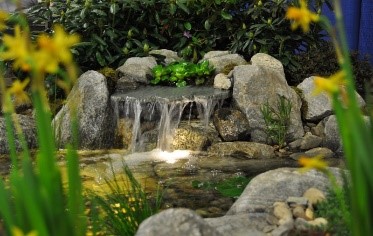 Lakes, Ponds & waterfalls